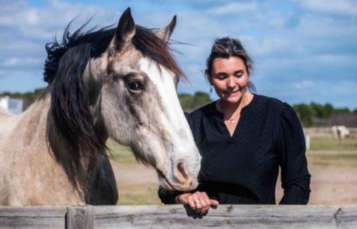 “Horse riding beyond conventions”, a book so that the rider and the horse become one