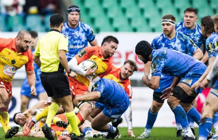 Rugby – Challenge Cup: “It will be simple and brutal”, the Paloise Section guided by its inner fire against the Dragons