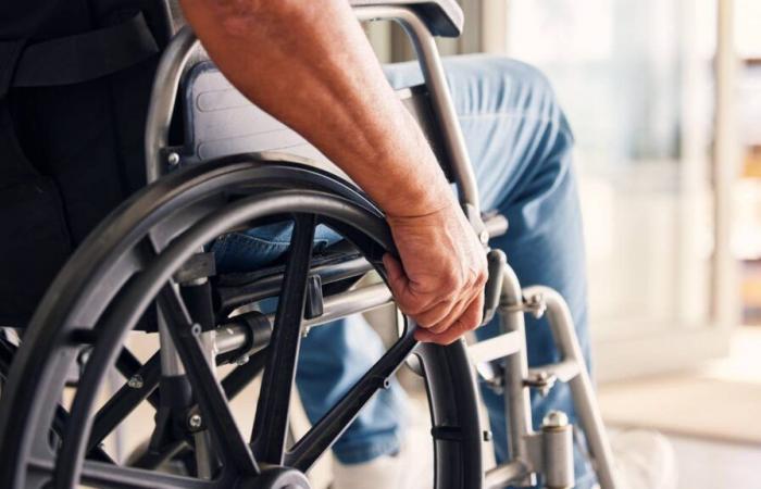 “What will be the amount of the Disabled Adult Allowance in 2025? »