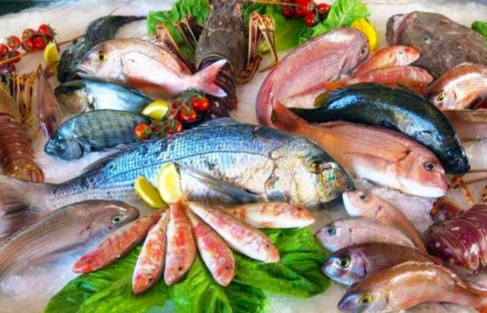 This fish that all French people eat is dangerous for your health, according to a study