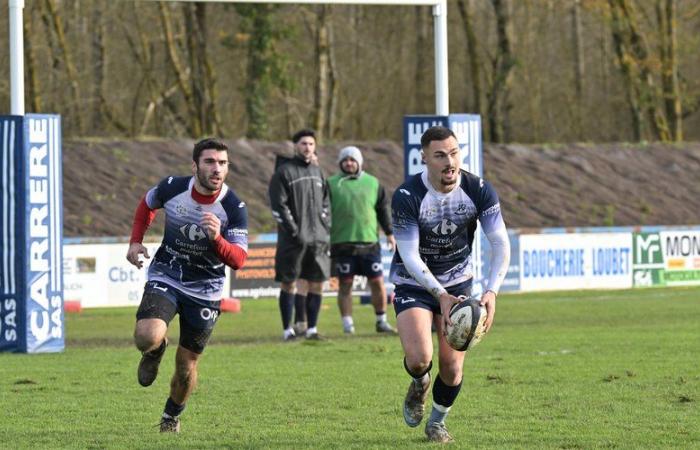 Amateur rugby – National 2: Fleurance traveling to the tricky hunting ground of the “Wild Boars” of Salles