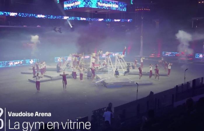 Hundreds of Swiss gymnasts twirl in Malley during Gymotion – rts.ch