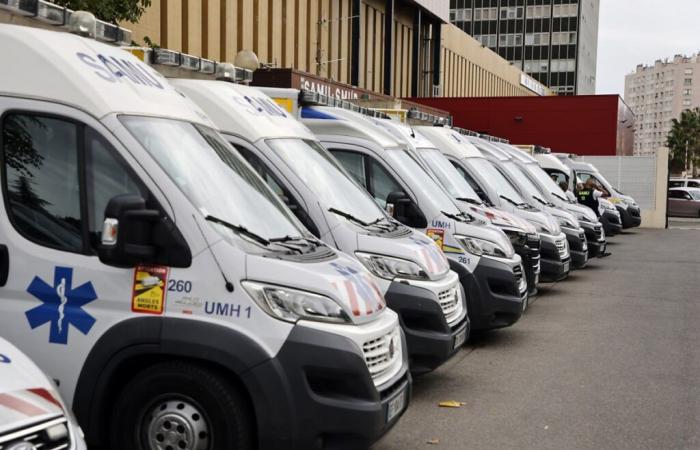 Collision of two trams in Strasbourg: several dozen injured