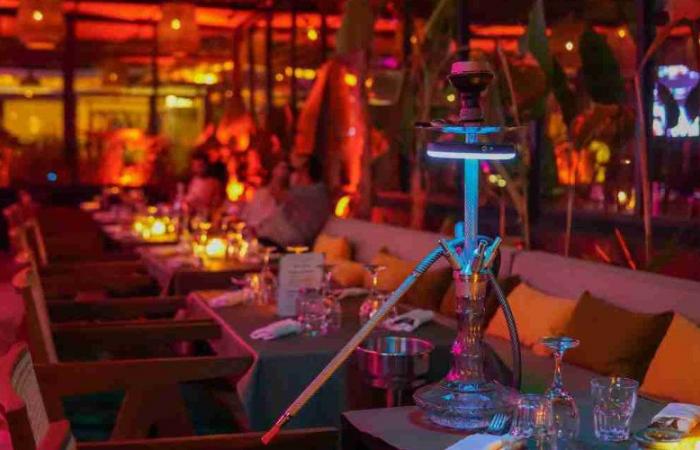 the cry of distress from the owners of hookah cafes