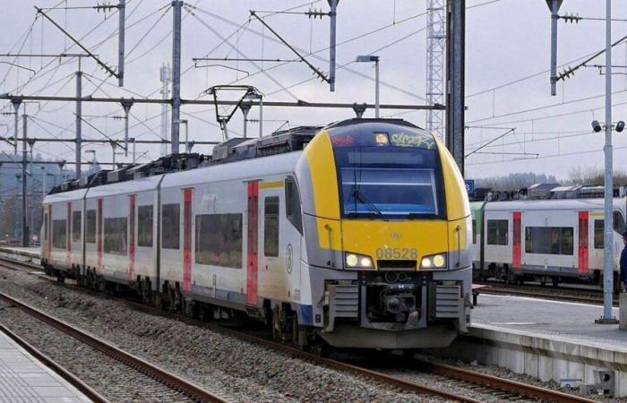 Train traffic disrupted between Luxembourg and Belgium from Sunday evening