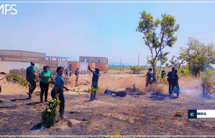 Kédougou intensifies its fight against bushfires with 54 early fires planned