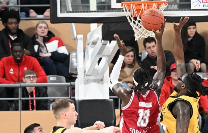 BASKETBALL (Betclic Elite): Elan Chalon overcomes La Rochelle, between contrasts and paradoxes