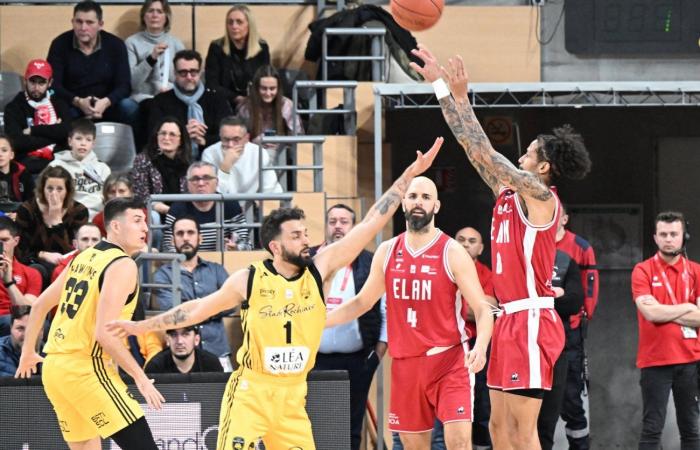 BASKETBALL (Betclic Elite): Elan Chalon overcomes La Rochelle, between contrasts and paradoxes