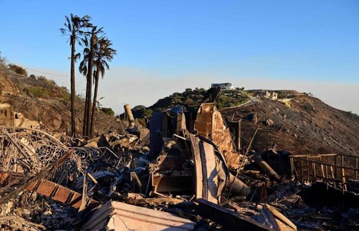 How? Don’t palm trees burn? And that one house, why is it still standing?