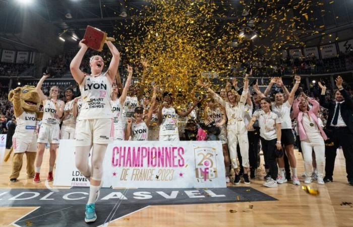 Basketball: women’s Asvel plays its first match at the Palais des sports de Gerland