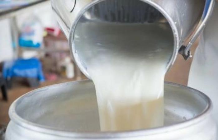 Senegal wants to draw inspiration from the Ugandan model to boost its milk production