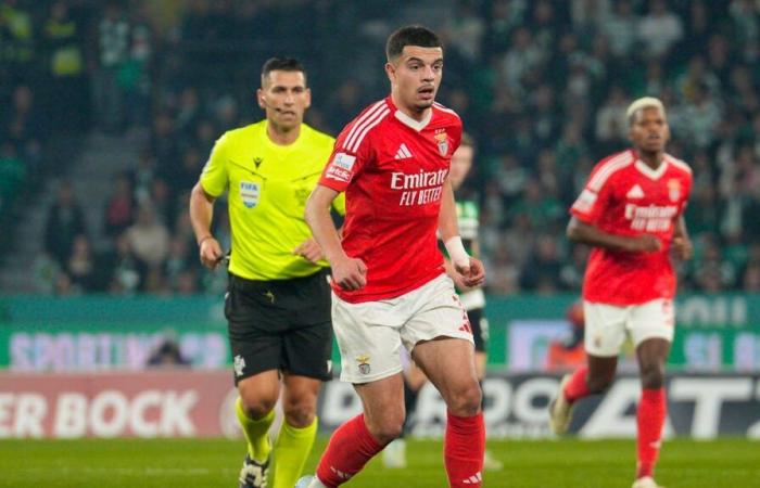 Football: First trophy for Zeki Amdouni with Benfica