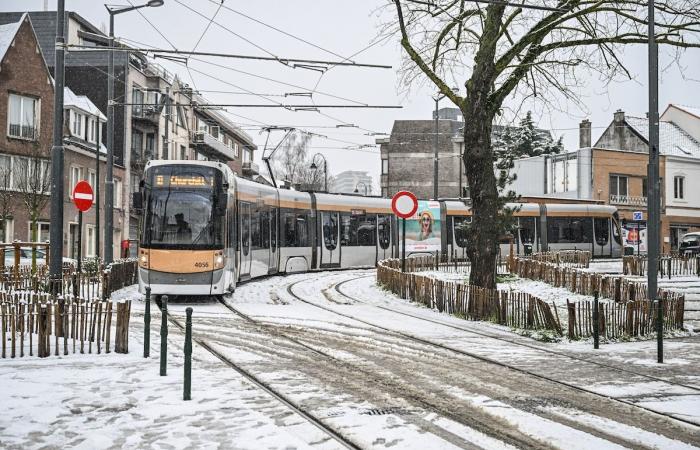 In Neder-Over-Heembeek, the tram divides: “It brings drug addiction from the Gare du Midi”