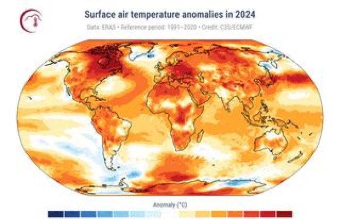 Can we reverse the destruction of the world’s tropical forests?