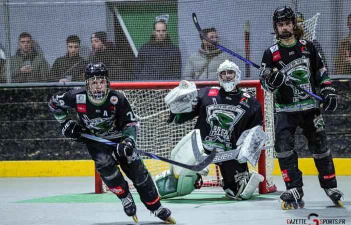 ROLLER-HOCKEY – Coupe de France: The step was too high for the Green Falcons