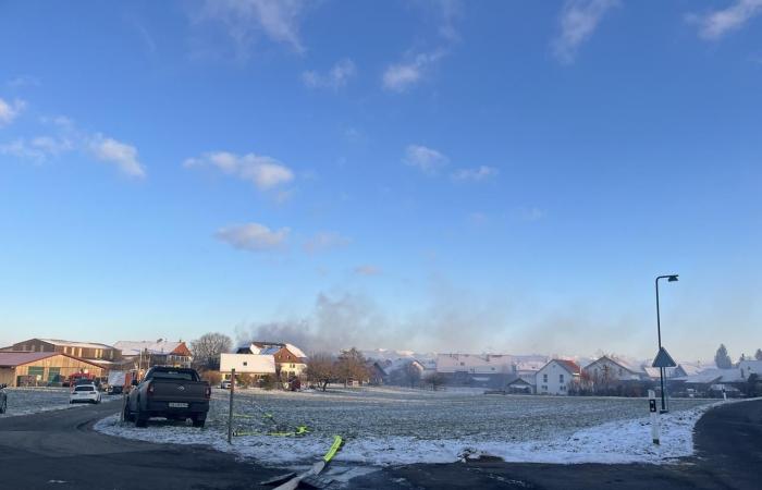 Around thirty cattle killed in the fire on a farm in Peney-le-Jorat – rts.ch