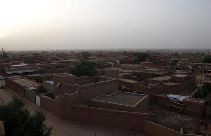 Austrian woman kidnapped in Niger