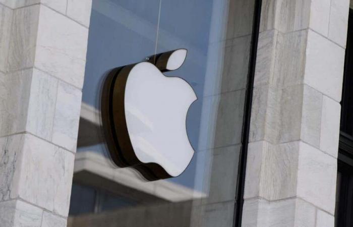 Apple wants to keep diversity programs disowned by other companies