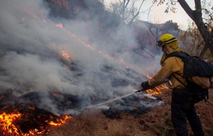 Zelensky proposes sending Ukrainian firefighters