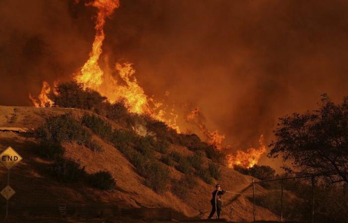 Fires in Los Angeles: the provisional death toll rises to 16 deaths, the flames gain ground