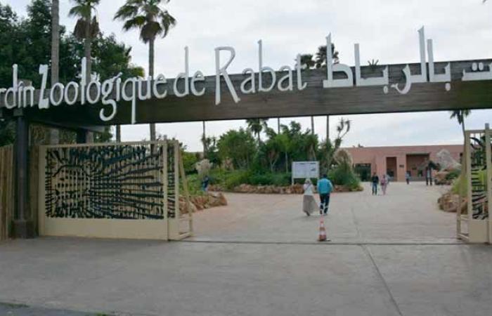 The National Zoological Garden is the most visited attraction in Rabat