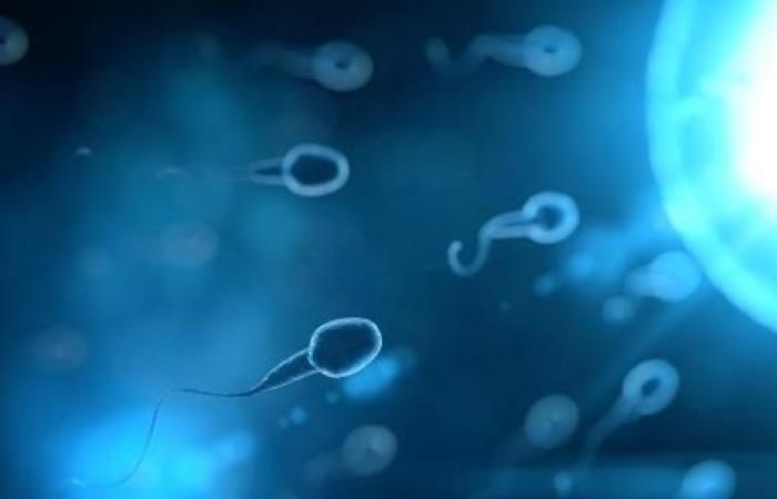 Stress in childhood affects sperm and future generations