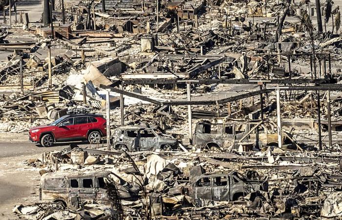 Los Angeles fires: death toll rises to 24