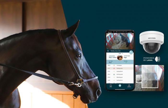 NovoStable monitors your horses day and night using AI