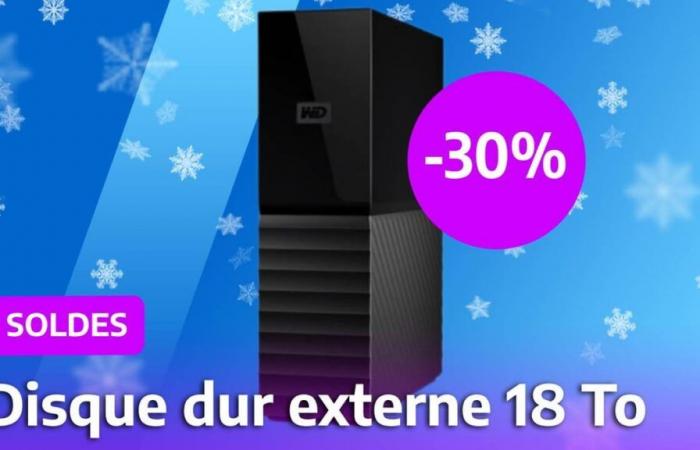 This huge 18 TB external hard drive costs less than €170 during the sales!