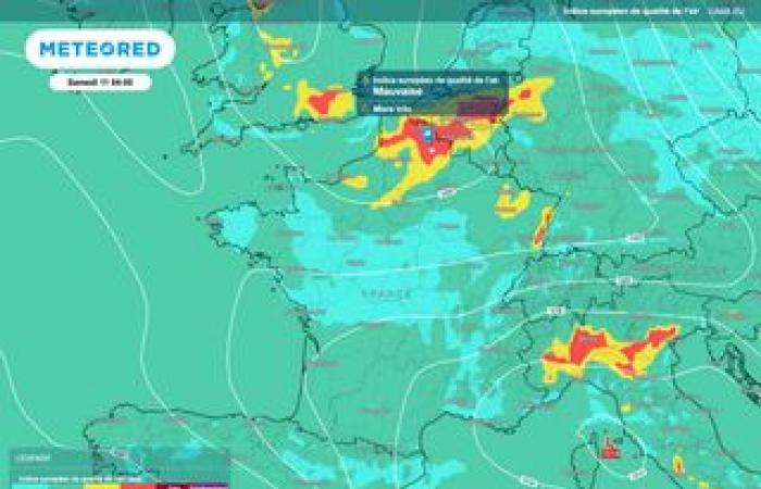 Can we reverse the destruction of the world’s tropical forests?