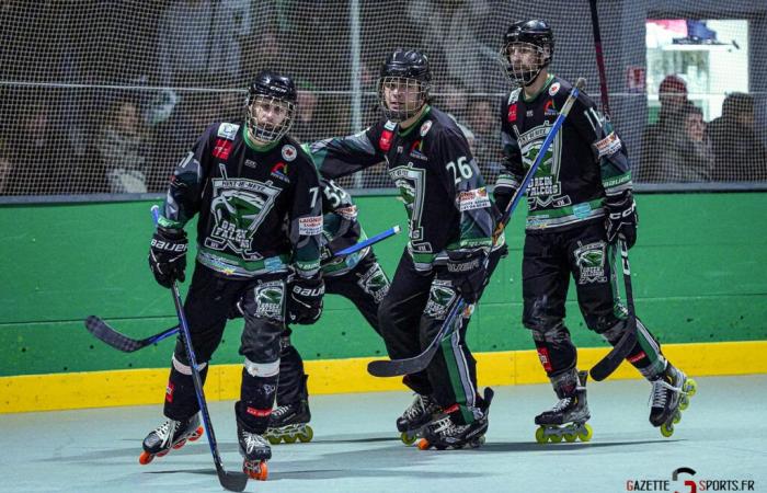 ROLLER-HOCKEY – Coupe de France: The step was too high for the Green Falcons