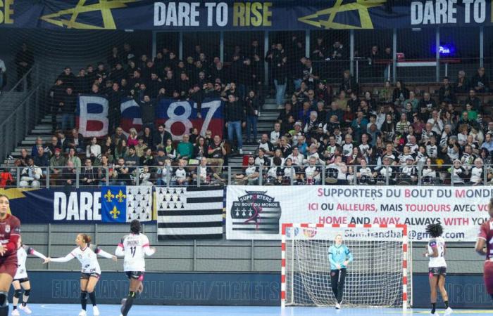 Football: Lyon fans, rejected from the Francis-Le Blé stadium for Brest-OL, end up at the women’s handball match