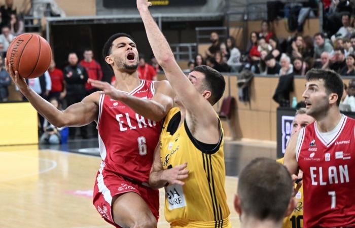 BASKETBALL (Betclic Elite): Elan Chalon overcomes La Rochelle, between contrasts and paradoxes