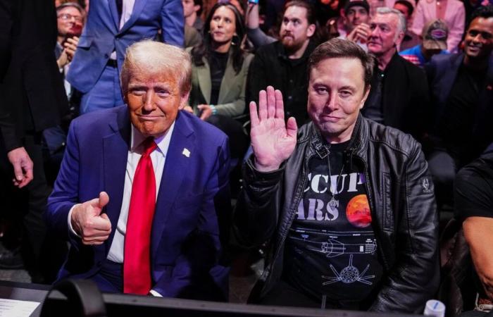 USA: Elon Musk, influencer and chief of Donald Trump