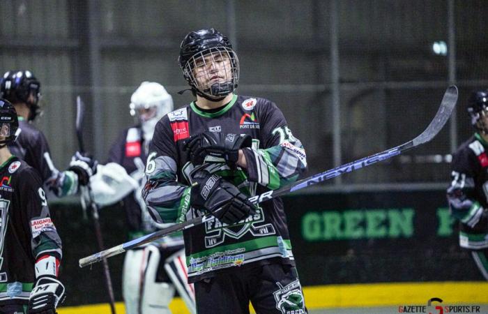 ROLLER-HOCKEY – Coupe de France: The step was too high for the Green Falcons