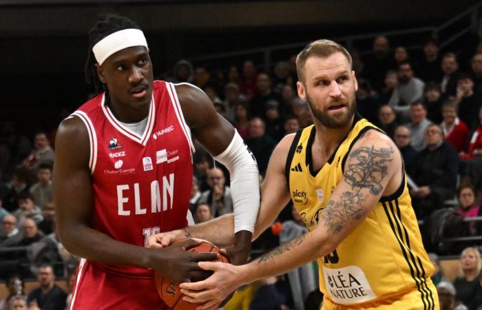 BASKETBALL (Betclic Elite): Elan Chalon overcomes La Rochelle, between contrasts and paradoxes