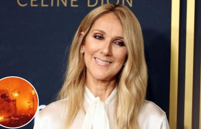 Fires in Los Angeles: Celine Dion offers her thoughts