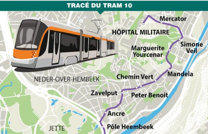 In Neder-Over-Heembeek, the tram divides: “It brings drug addiction from the Gare du Midi”