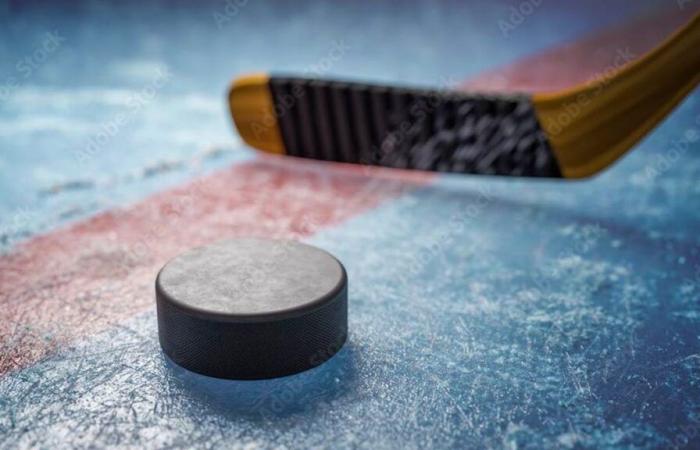 One injured following an altercation between supporters in Bienne