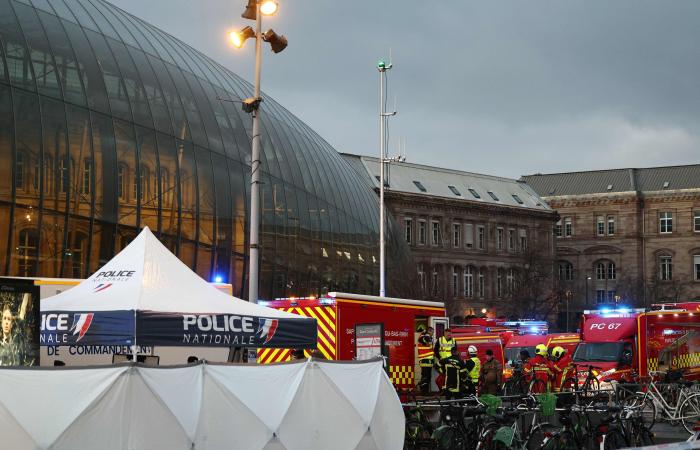 “A violent frontal impact following reversing”: first information on the collision between two trams in Strasbourg (VIDEO+PHOTOS)