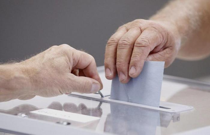 2024, a record electoral year marked by the weakening of the ruling parties – rts.ch