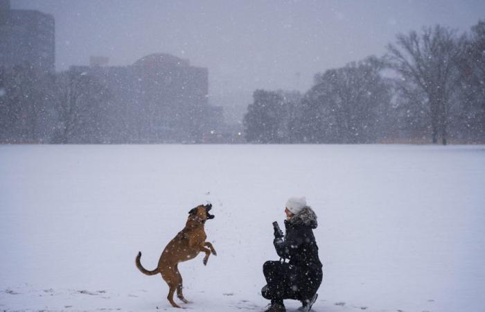 Winter storm maintains its icy grip in the south of the country