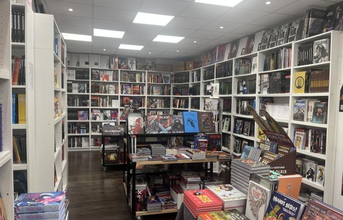 the meteoric rise of a bookseller specializing in manga and comics