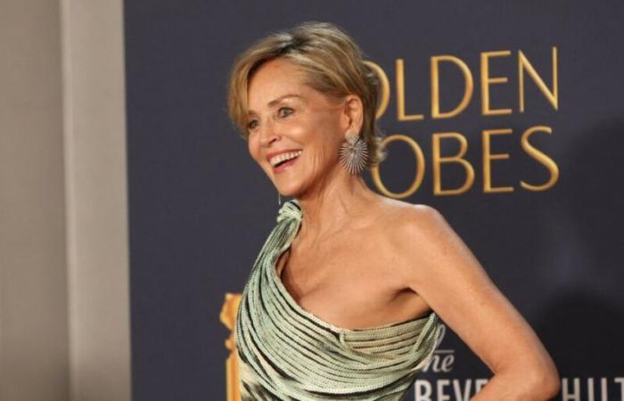 Why you absolutely must not miss this fascinating documentary broadcast this evening on TV about Sharon Stone, cinema icon and free woman