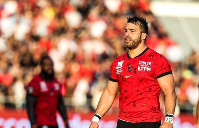 Toulon – Harlequins: the summary of the improved victory of the RCT