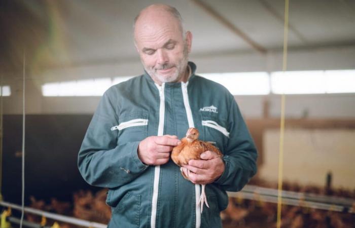 Pierrick, the “tactile and greedy” farmer