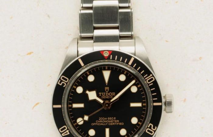 The very rare Tudor Black Bay 58 special edition Google