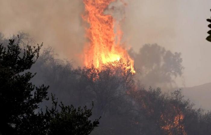 The fires continue to spread to large areas in the suburbs of Los Angeles policy