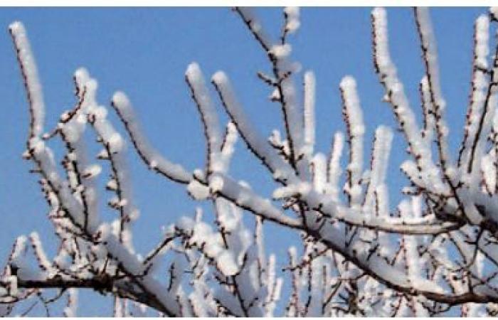 Cold wave, from Tuesday to Friday, in several provinces of the Kingdom (Alert bulletin) – AgriMaroc.ma