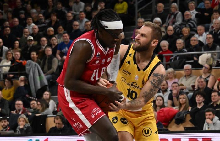 BASKETBALL (Betclic Elite): Elan Chalon overcomes La Rochelle, between contrasts and paradoxes